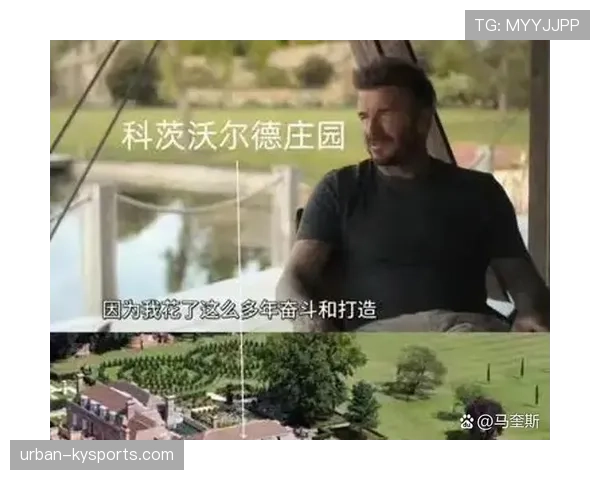 贝克汉姆家的狗都比我会花钱